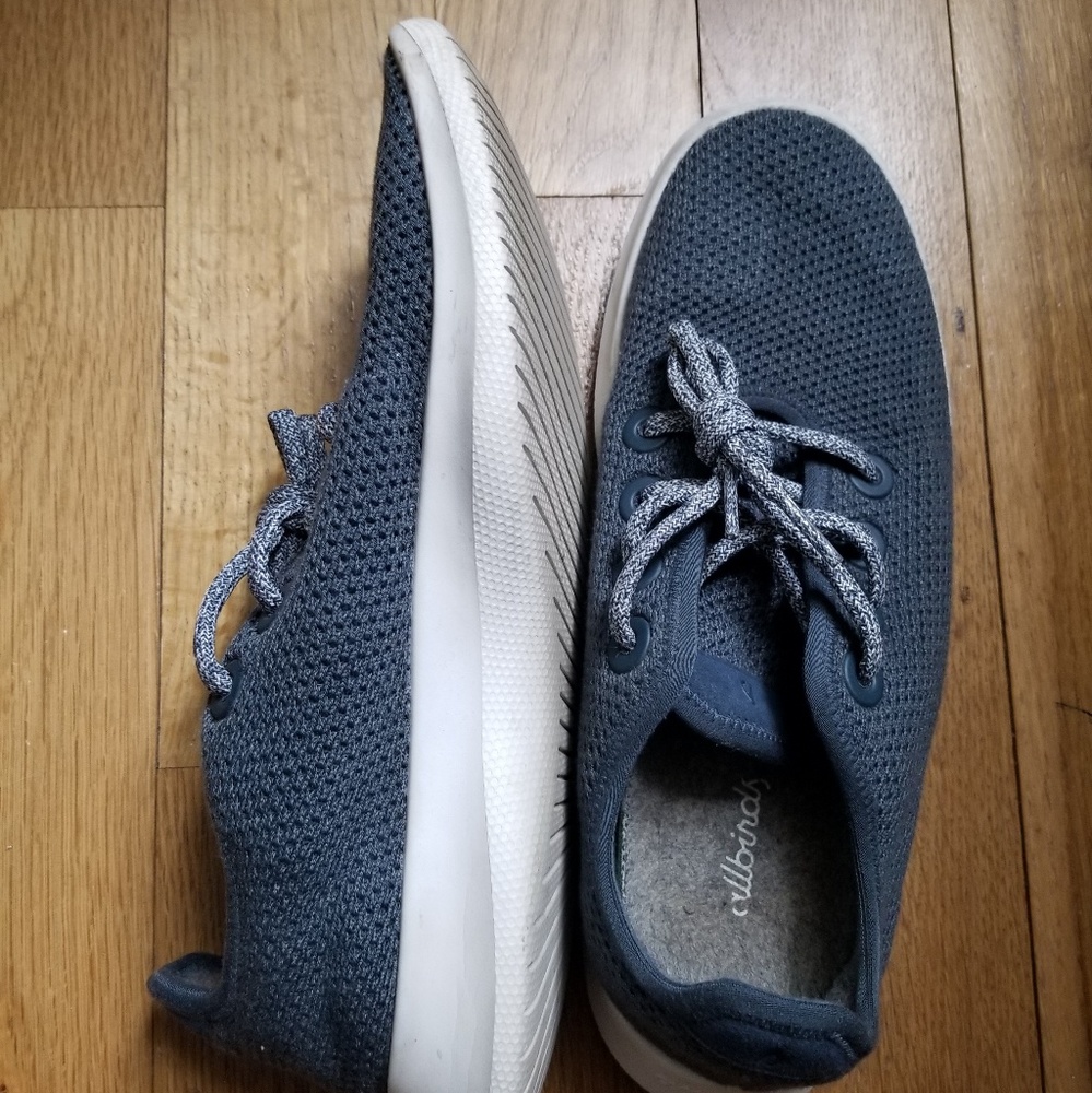 Blue allbirds